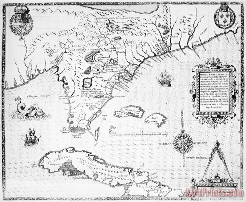 Florida: Map, 1591 painting - Others Florida: Map, 1591 Art Print