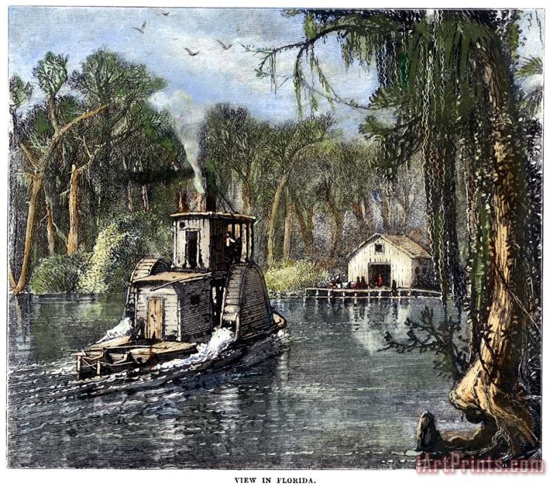 Florida: River Life painting - Others Florida: River Life Art Print