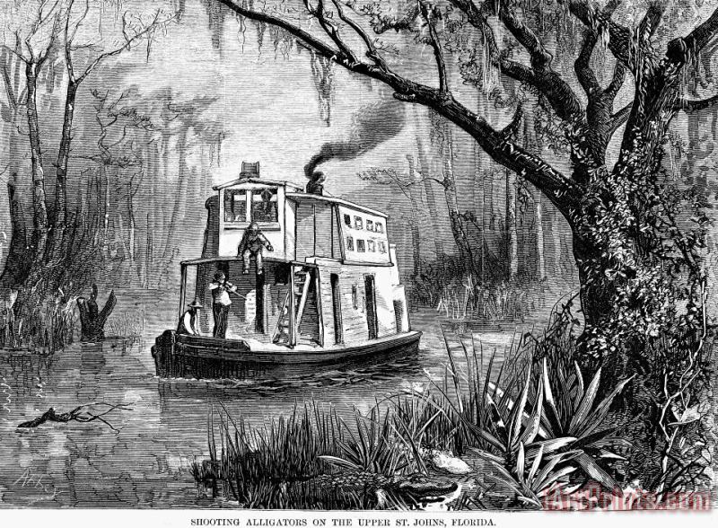 Florida: St. Johns River painting - Others Florida: St. Johns River Art Print