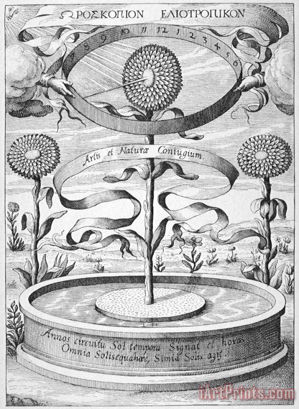 Others Flower Clock, 1643 Art Print