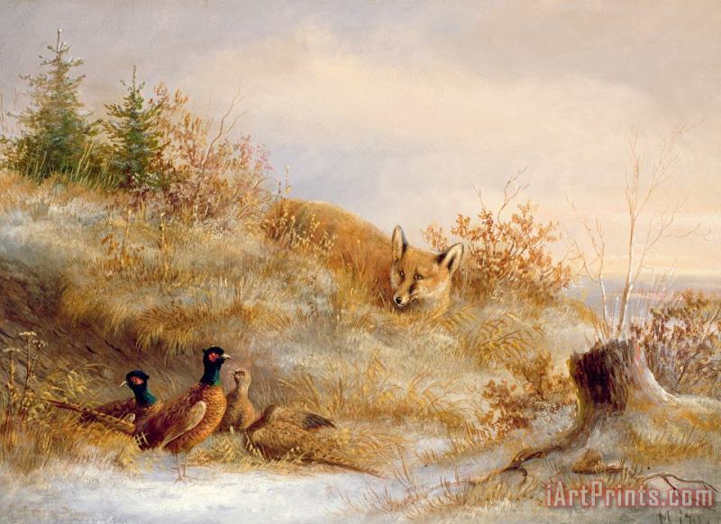 Fox and Pheasants in Winter painting - Others Fox and Pheasants in Winter Art Print