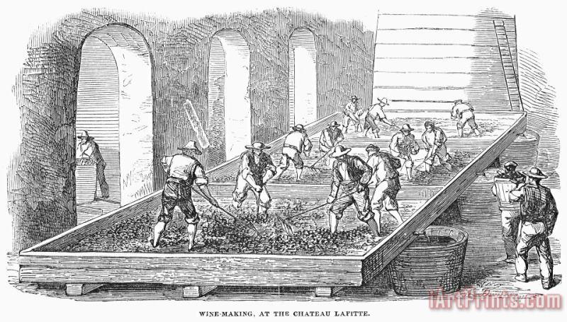 Others France: Winemaking, 1854 Art Print