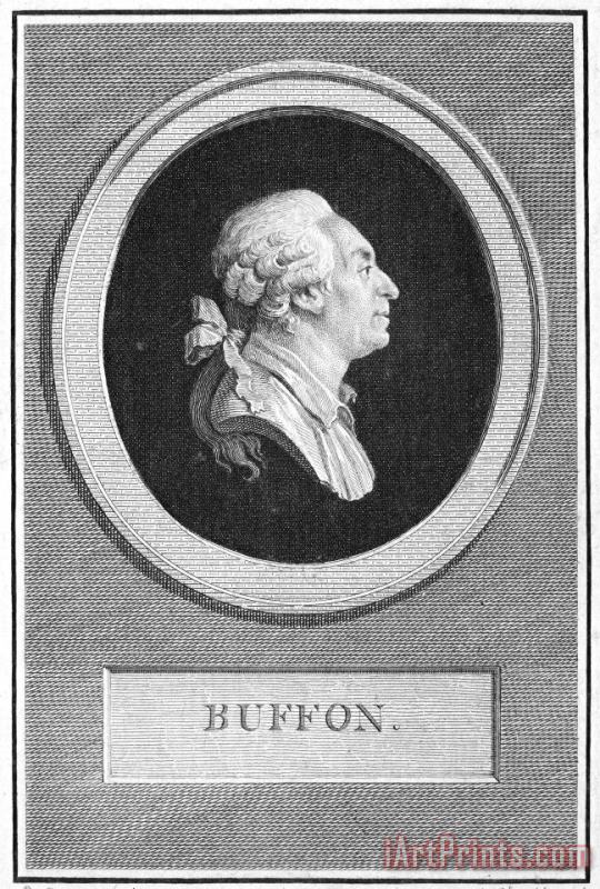 GEORGES LOUIS de BUFFON painting - Others GEORGES LOUIS de BUFFON Art Print