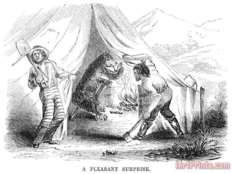 Others Gold Mining Camp, 1853 Art Print