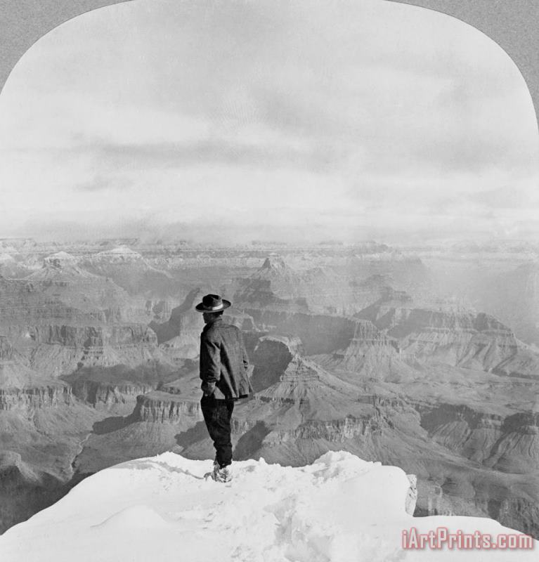 Grand Canyon: Sightseer painting - Others Grand Canyon: Sightseer Art Print