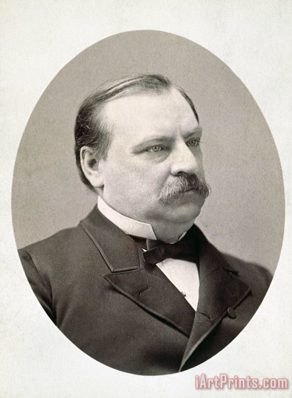 Others Grover Cleveland (1837-1908) Art Painting