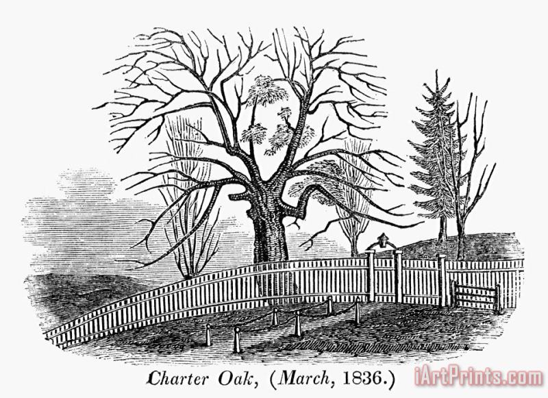 Hartford: Charter Oak painting - Others Hartford: Charter Oak Art Print