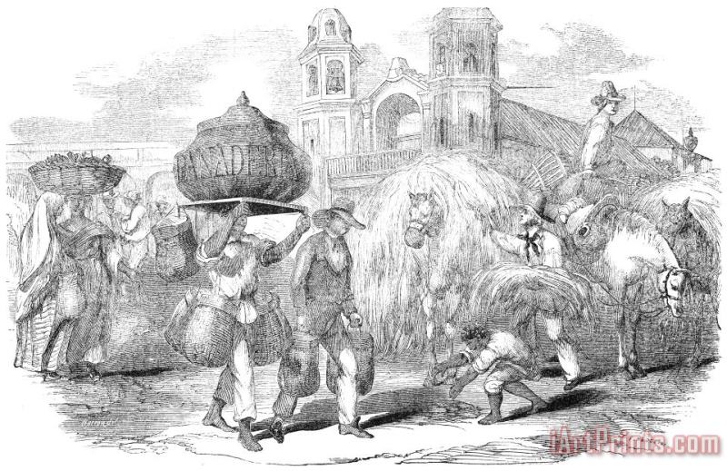 Others Havana, Cuba, 1853 Art Painting