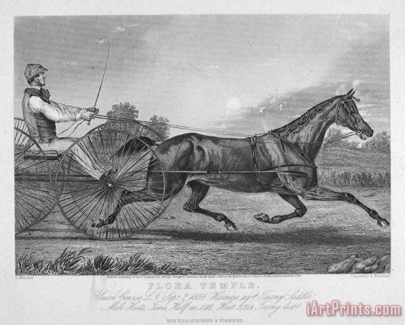 Others Horse Racing, 1857 Art Print