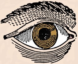 Others HUMAN EYE, 19th CENTURY painting