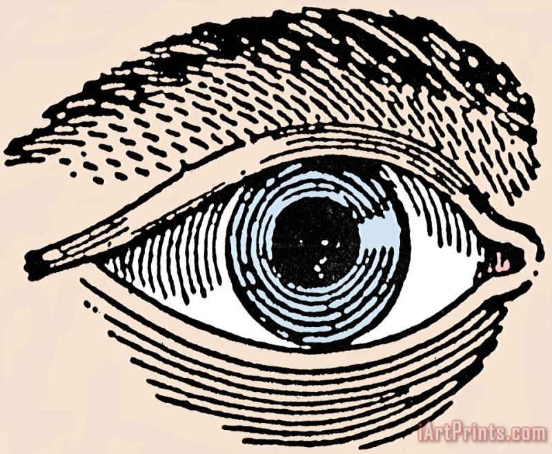 Others HUMAN EYE, 19th CENTURY Art Painting