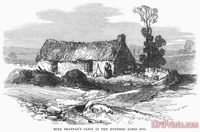 Others Ireland: Cabin, 1870 Art Painting