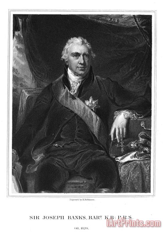 Others Joseph Banks (1743-1820) Art Painting
