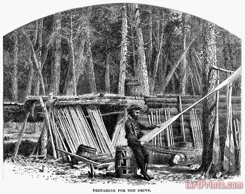 Others Lumbering: Log Drive, 1868 Art Painting