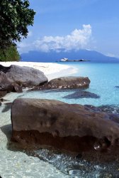 Others Malaysia Coral Island painting