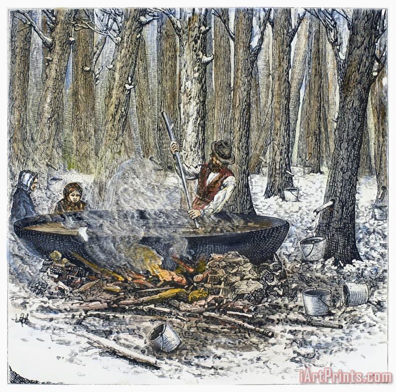 Others Maple Syrup, 1877 Art Print