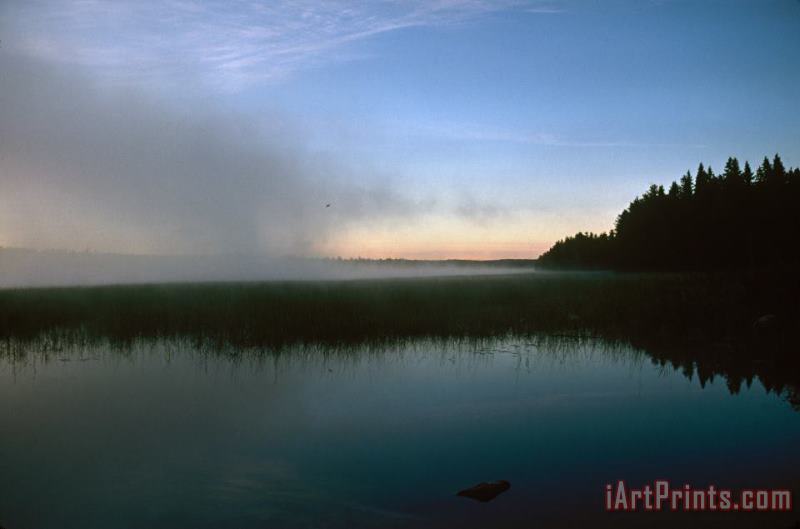 Others Minnesota: Lake Itasca Art Painting