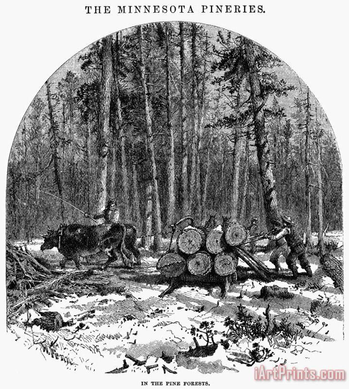 Minnesota: Lumbering, 1868 painting - Others Minnesota: Lumbering, 1868 Art Print