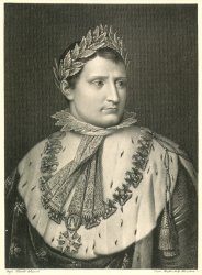 Others Napoleon I (1769-1821) painting