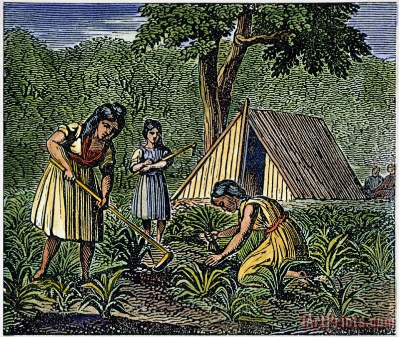 Others Native American Women: Farming, 1835 Art Print
