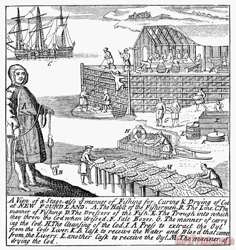 Others Newfoundland Fishery, 1738 Art Print