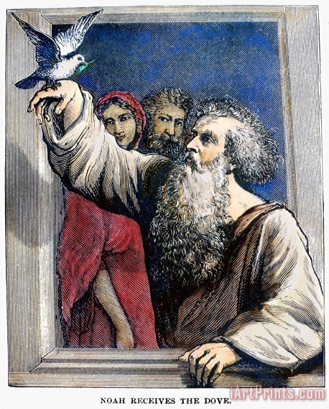 Others Noah Receives The Dove Art Painting