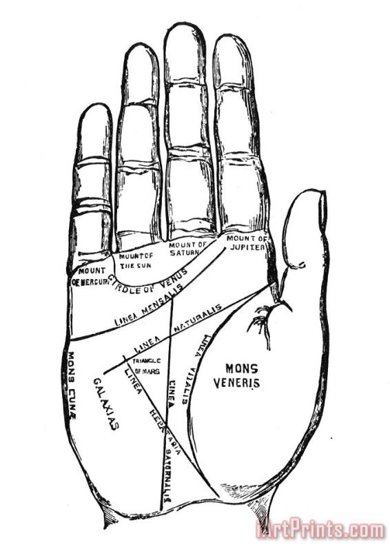 Palmistry Chart, 1885 painting - Others Palmistry Chart, 1885 Art Print