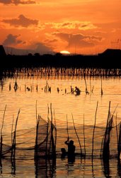 Others Philippines Manila Fishing painting