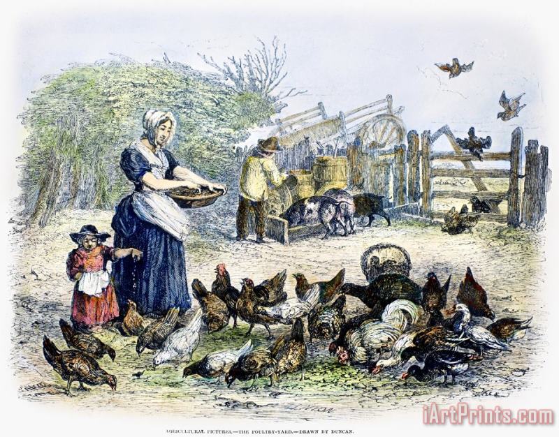Others Poultry Yard, 1847 Art Print
