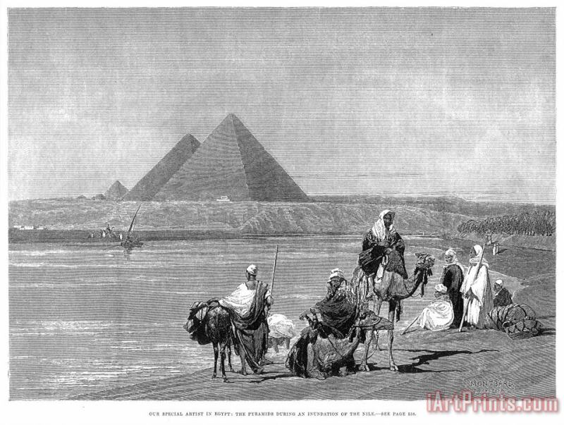 Others Pyramids At Giza, 1882 Art Print