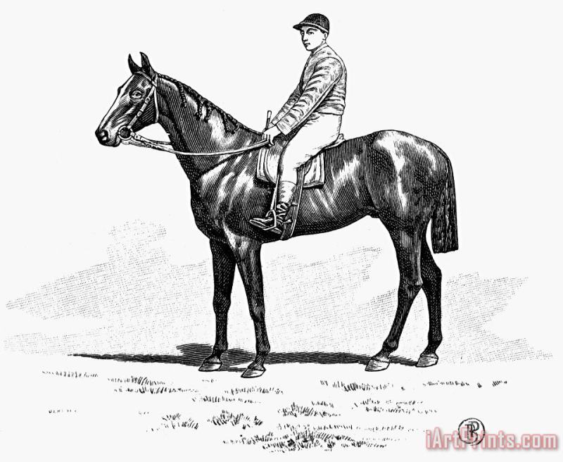 Race Horse, 1900 painting - Others Race Horse, 1900 Art Print