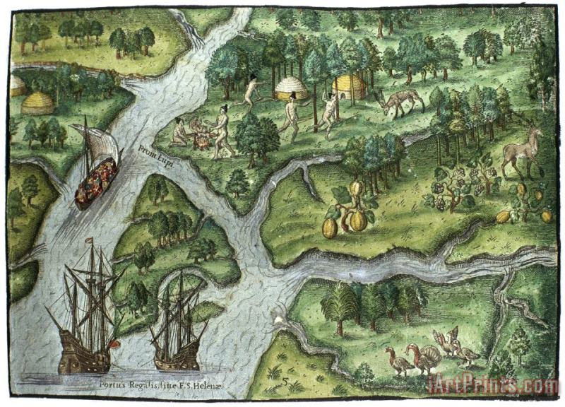 Others Ribault Expedition, 1562 Art Print