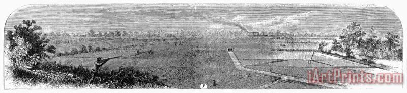Others Rice Plantation, 1866 Art Print