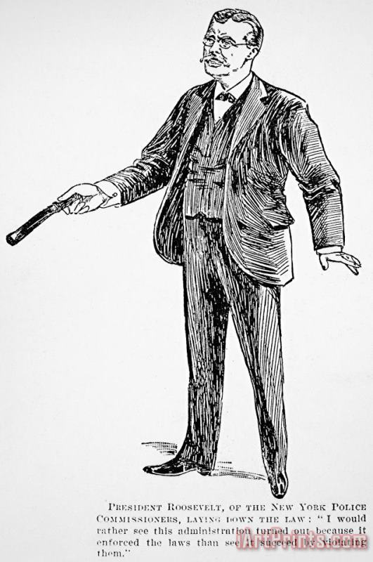 Others Roosevelt Cartoon, 1895 Art Painting