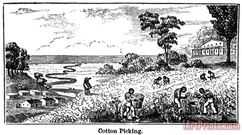 Others Slavery: Plantation Life Art Print