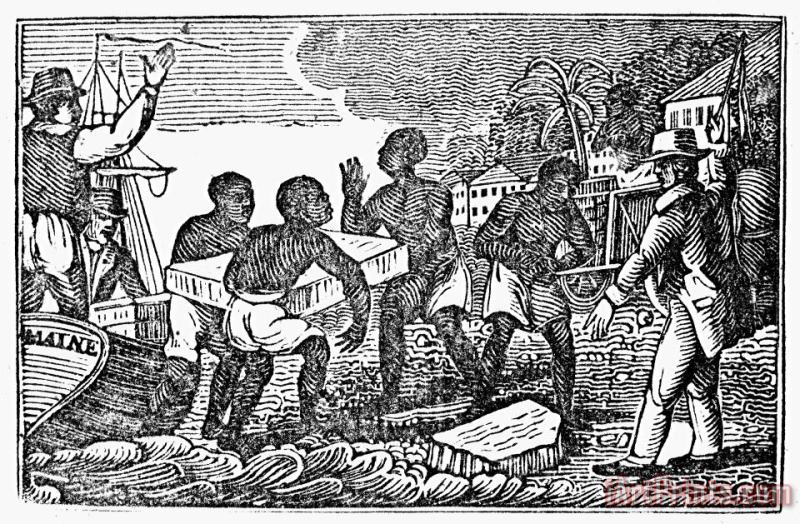 Others Slavery: West Indies Art Print