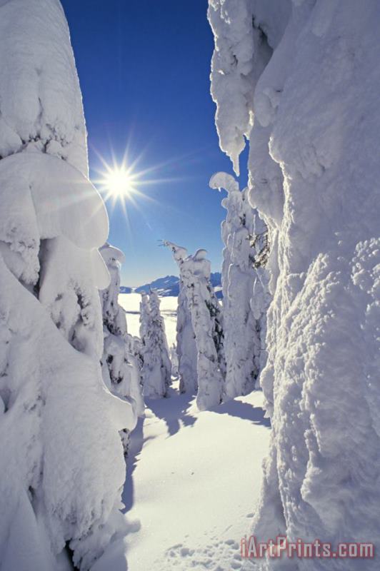 Snowscape Snow Covered Trees And Bright Sun painting - Others Snowscape Snow Covered Trees And Bright Sun Art Print