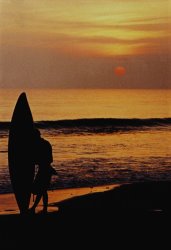 Others Surfing At Sunset painting