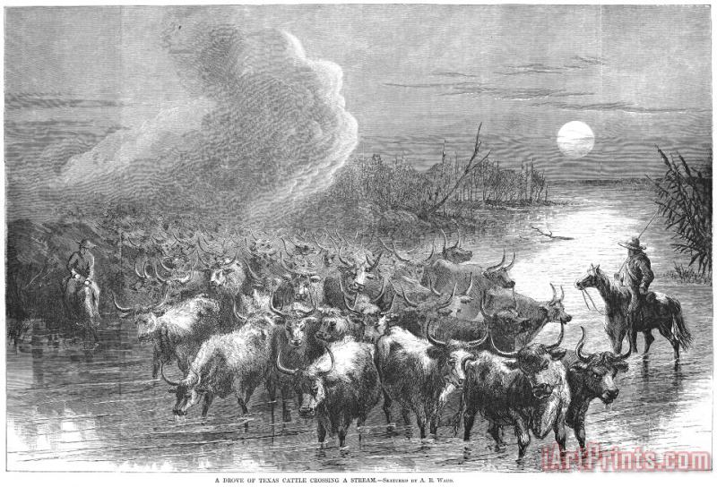 Texas: Cattle Drive, 1867 painting - Others Texas: Cattle Drive, 1867 Art Print