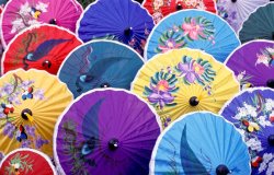 Others Thailand. Chiang Mai Region. Umbrellas