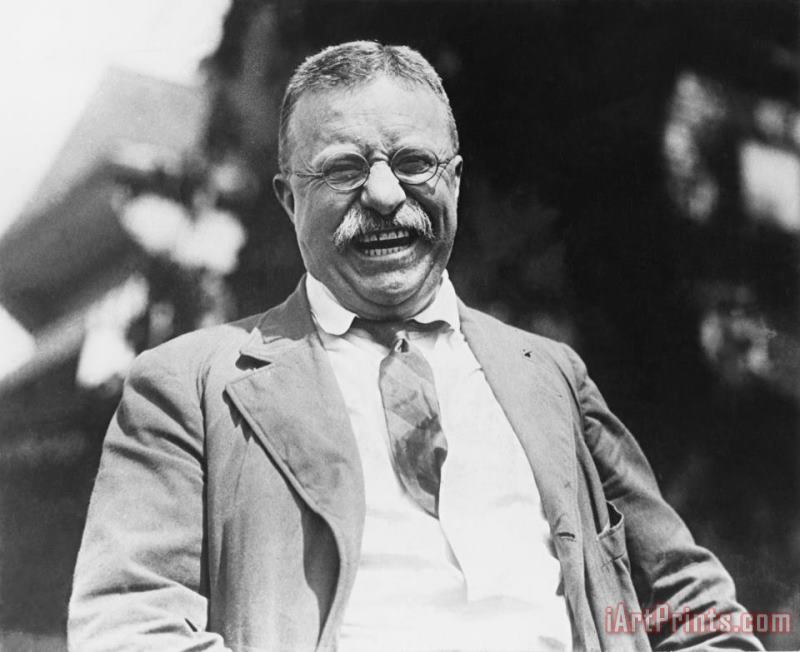 Others Theodore Roosevelt Art Print