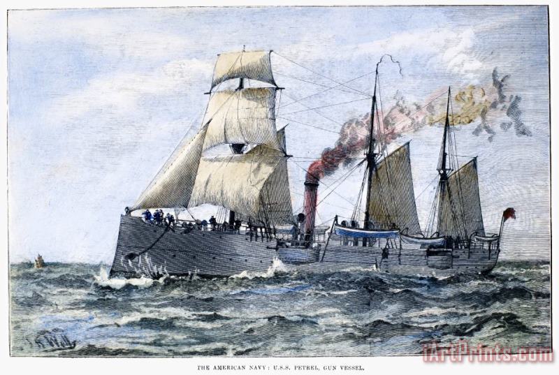 Others Uss Petrel, 1890 Art Painting