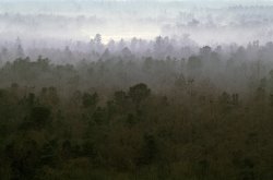 Others Ussuri Territory painting