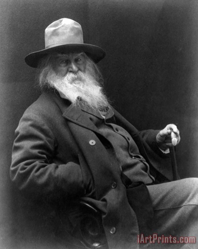 Walt Whitman (1819-1892) painting - Others Walt Whitman (1819-1892) Art Print