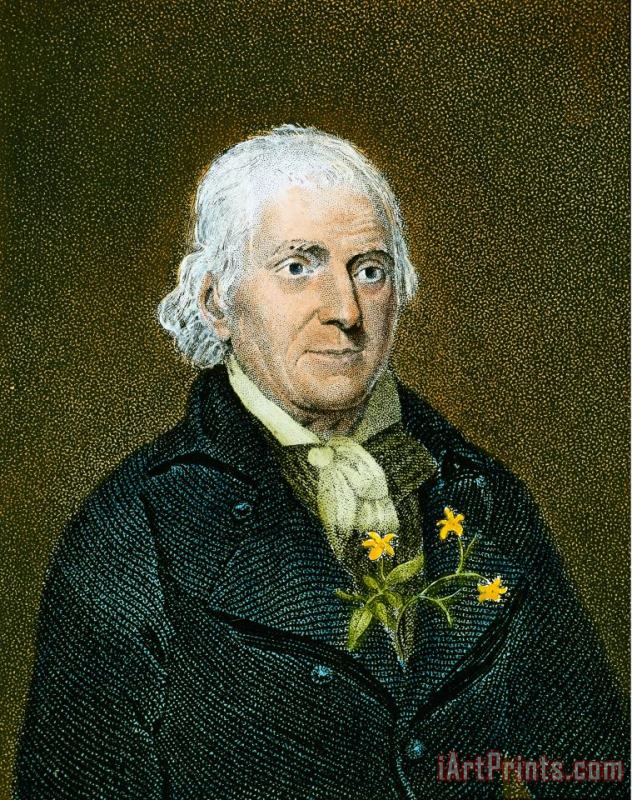 Others William Bartram (1739-1823) Art Print