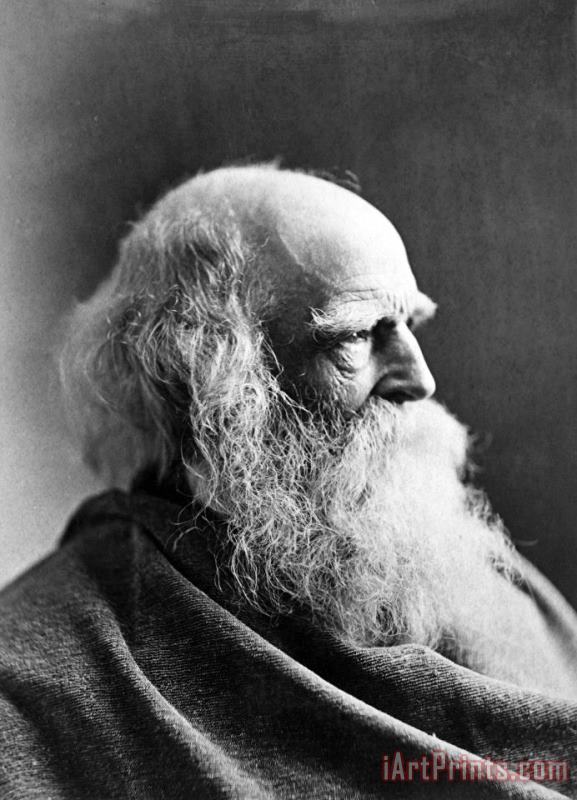 William Cullen Bryant painting - Others William Cullen Bryant Art Print