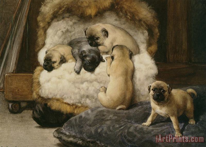 Otto Eerelman Nest Met Jonge Mastiffs Art Painting