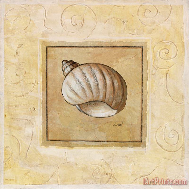 Bonnet Shell painting - Pablo Esteban Bonnet Shell Art Print