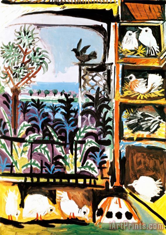 Les Pigeons C 1957 painting - Pablo Picasso Les Pigeons C 1957 Art Print