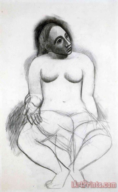 Pablo Picasso Seated Nude 1906 Art Painting